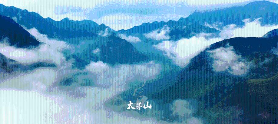 探索世界,尽在西安特产有哪些蜗牛问答平台
